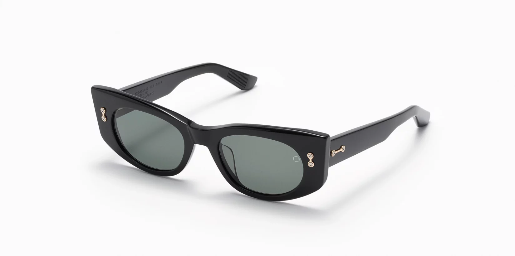 Sunglasses Model Aquila in Color Black with G15 lenses from Akoni