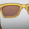 Sunglasses Model Fellini in Color Honey with Cinnamon lenses from Jacques Marie Mage