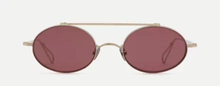 Sunglasses Model Turbigo in Grey Gold with Plum lenses from Ahlem